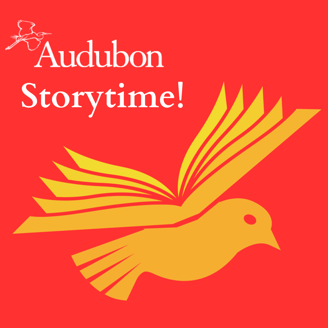 Audubon Center storytime