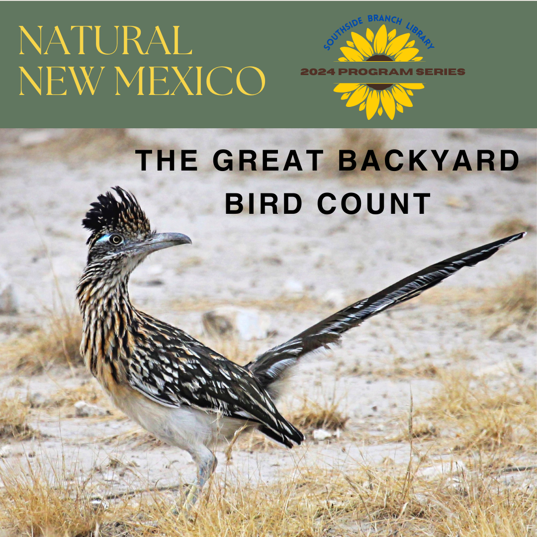Natural New Mexico Series - Great Backyard Bird Count graphic