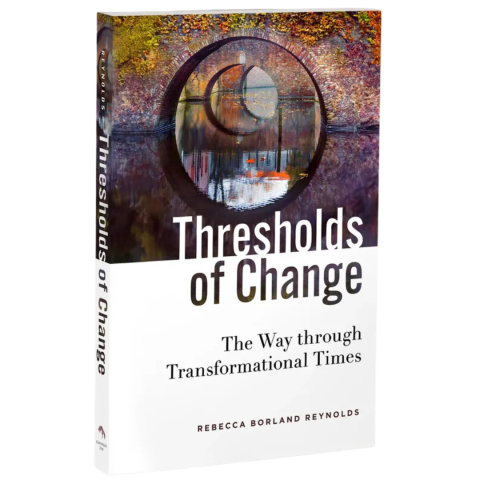 THRESHOLDS OF CHANGE Book Cover