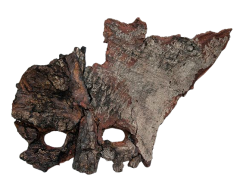 Bark mask