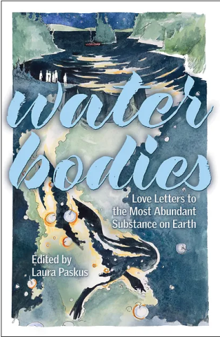 Image of Water Bodies book cover