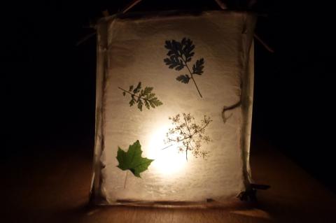 Paper lantern