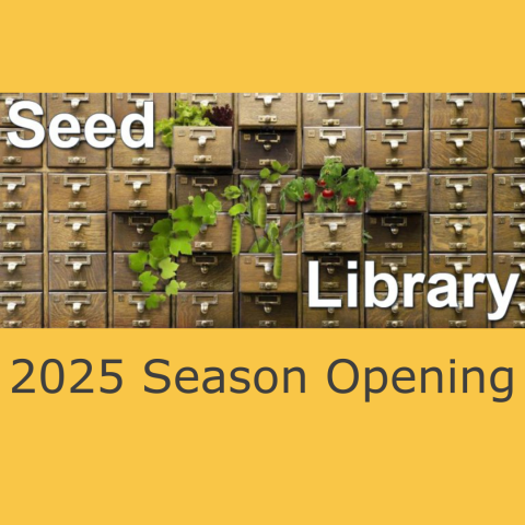 Card catalog drawers with plants coming out of them with Text Seed Library 2025 Season Opening