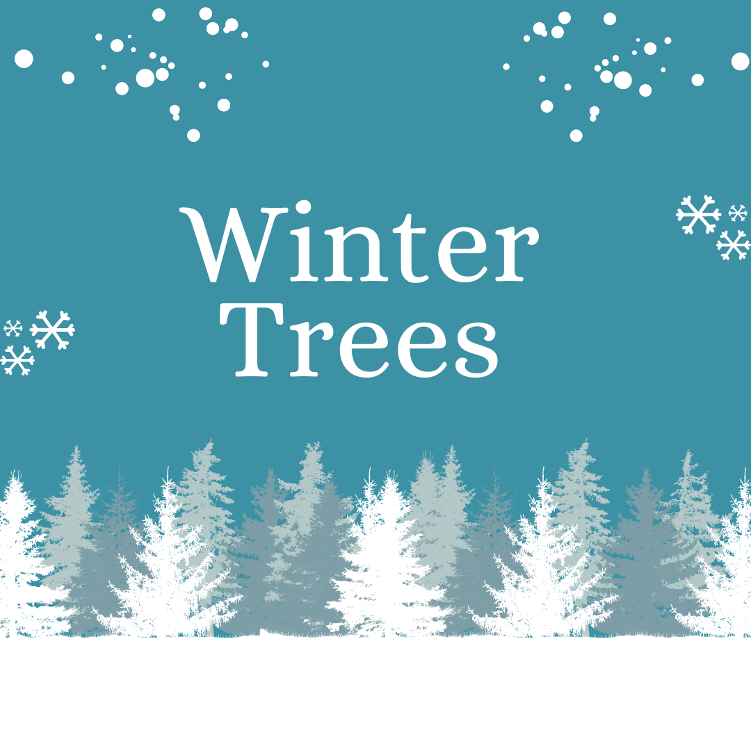 Winter Trees Theme