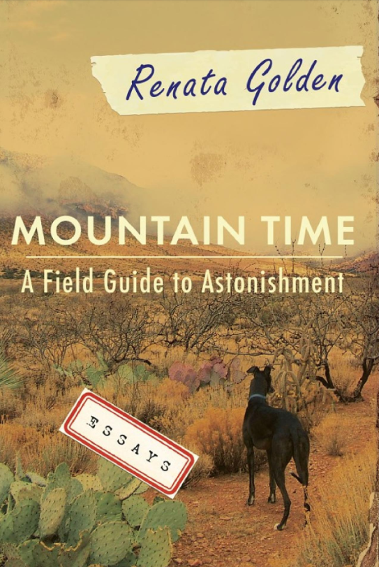 Book cover of the title "Mountain Time: A Field Guide to Astonishment" by Renata Golden