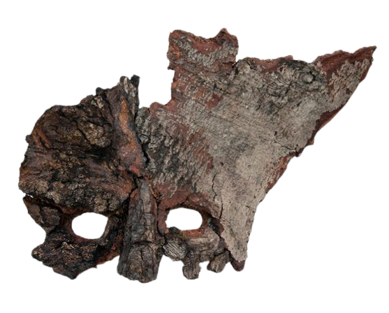 Bark mask